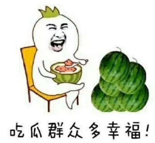 娱乐圈的吃瓜用语,揭秘明星们的“瓜田”秘闻