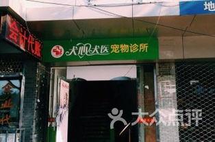 温州宠物店爆料事件最新,揭露行业黑幕，宠物权益亟待关注